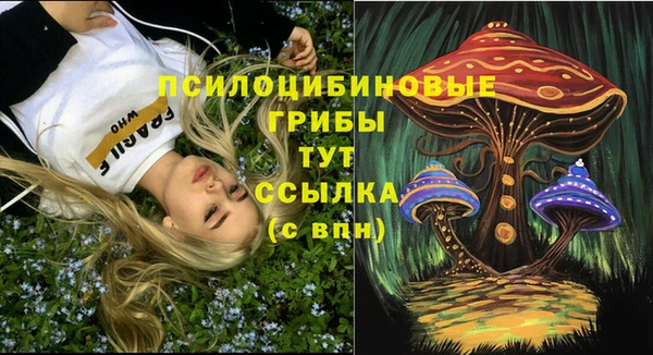 spice Алексин