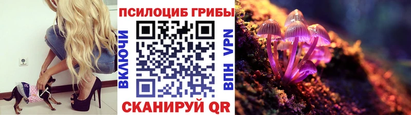 Псилоцибиновые грибы мухоморы где можно купить наркотик Данилов