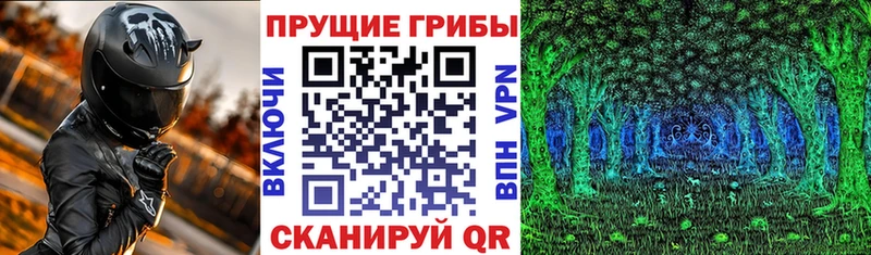 Псилоцибиновые грибы Psilocybe Данилов