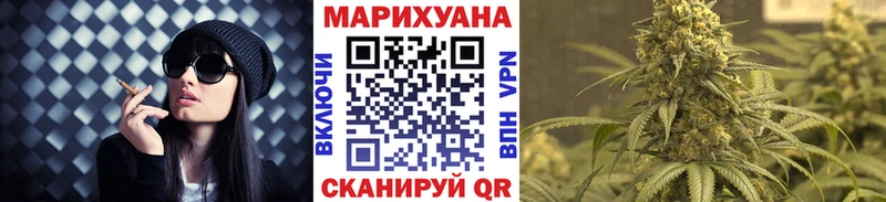 Каннабис индика  Данилов 